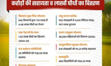 हरियाली से आर्थिक रूप से सशक्त हुए मोहला जिले के ग्रामीण