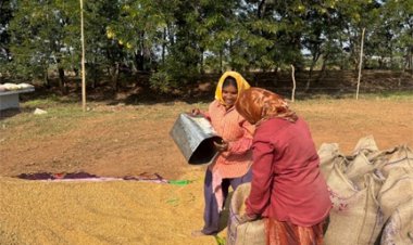 खरीफ उपार्जन शुरू होते ही धमतरी में लौटी रौनक