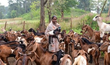 बिहान से गनेशी बाई आत्मनिर्भरता की राह पर