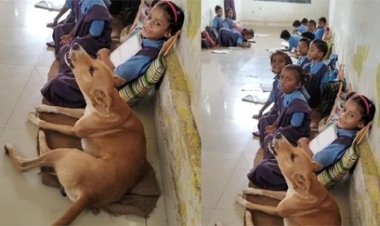 छत्तीसगढ़ के स्कूल में बच्चों संग स्वर मिलाता एक कुत्ता, शिक्षा विभाग बेचैन