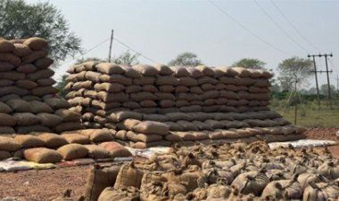 17 व्यापारियों से 13 लाख रूपए का 622 क्विंटल पुराना धान जब्त