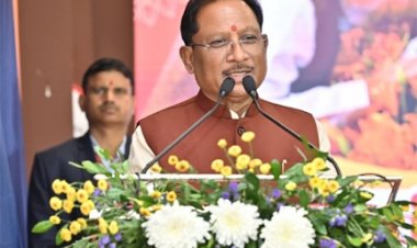 संविधान में आस्था रखकर आगे बढ़ रहा है विश्व का सबसे बड़ा लोकतंत्र भारत : मुख्यमंत्री साय