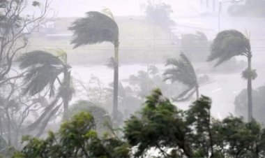 श्रीलंका में चक्रवात Ditwah का कहर, अब तक 46 लोगों की मौत