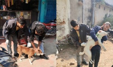 आवारा कुत्तों को लगाया जा रहा टीका