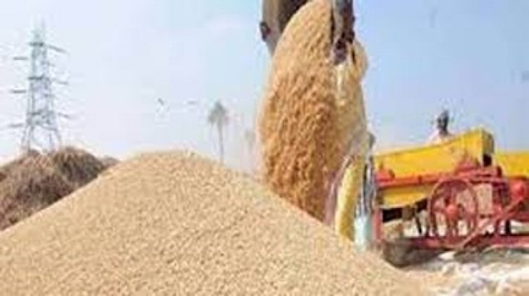 छत्तीसगढ़ में धान खरीदी प्रारंभ