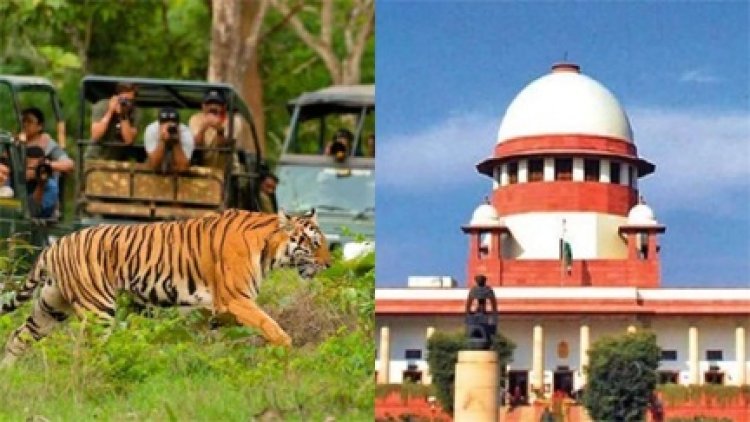 टाइगर रिज़र्व संचालन और मानव-वन्यजीव संघर्षों पर सुप्रीम कोर्ट का फैसला
