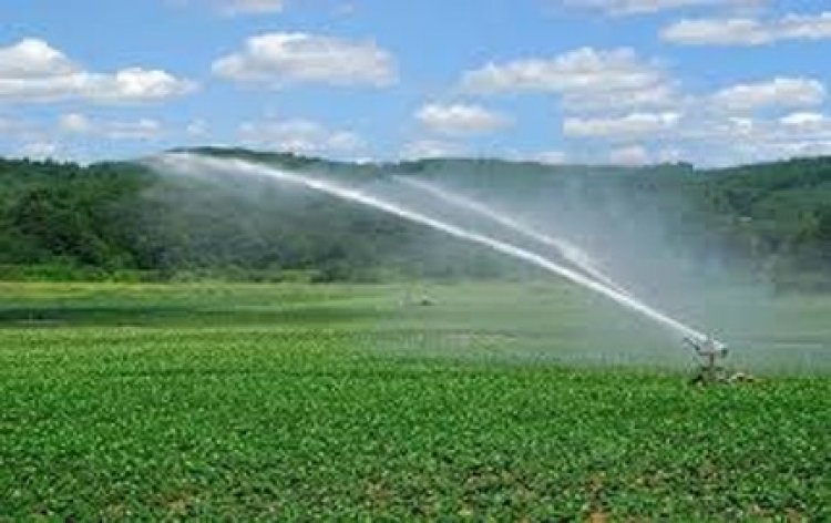 सुतियापाट और हाफ नदी की सिंचाई योजना के कार्यों के लिए 121 करोड़ रुपए से अधिक की राशि स्वीकृत