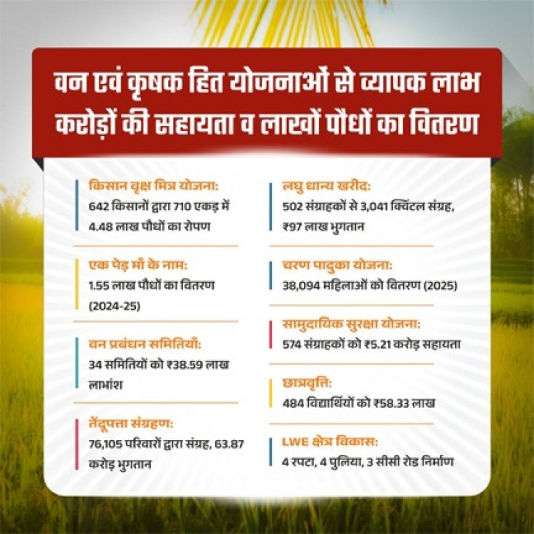 हरियाली से आर्थिक रूप से सशक्त हुए मोहला जिले के ग्रामीण