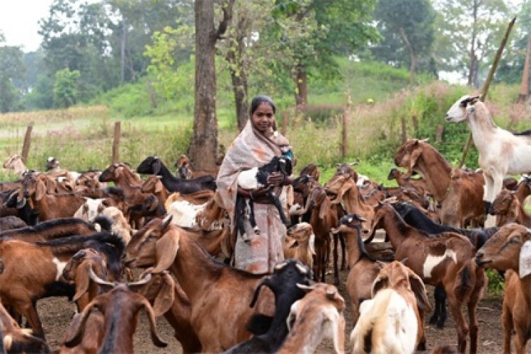 बिहान से गनेशी बाई आत्मनिर्भरता की राह पर