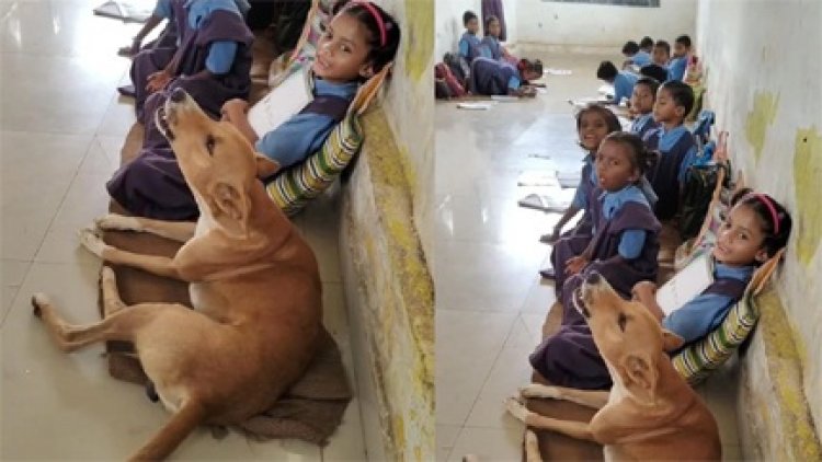 छत्तीसगढ़ के स्कूल में बच्चों संग स्वर मिलाता एक कुत्ता, शिक्षा विभाग बेचैन