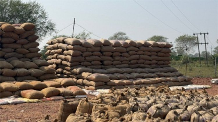 17 व्यापारियों से 13 लाख रूपए का 622 क्विंटल पुराना धान जब्त