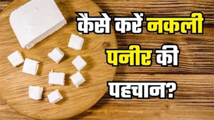 एक साल में 15,090 किलो नकली पनीर जब्त