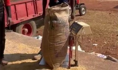 उपार्जन केंद्रों में प्रदेशभर में धान खरीदी सुचारू रूप से जारी