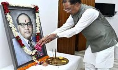 मुख्यमंत्री विष्णुदेव साय ने बाबा साहब डॉ. भीमराव अम्बेडकर की पुण्यतिथि पर किया नमन
