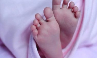 जंगल में रोता मिला नवजात शिशु