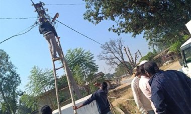 विद्युत विभाग का बड़ा एक्शन : 88 बकायादारों के काटे गए कनेक्शन