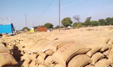 धान खरीदी के बाद होता था सत्यापन, अब स्टाक जांच में सामने आ रहा घपला