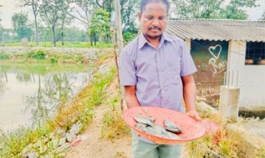 डबरी बनी खुशहाली की राह : किसान हिरमाराम की आमदनी हुई दोगुनी, सालाना बढ़ी एक लाख रुपये तक