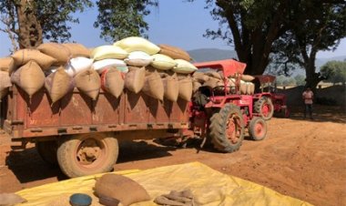 उपार्जन केंद्रों में धान खरीदी सुचारू रूप से जारी