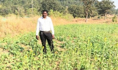 प्रधानमंत्री धन-धान्य कृषि योजना ने बदली किसानों की किस्मत