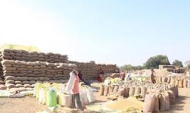 धान खरीदी को आसान बनाने की दिशा में राज्य सरकार का निर्णायक कदम: धान विक्रय प्रक्रिया हुई सरल, अब दिन-रात कभी भी मिलेगा तूहर टोकन