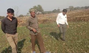 धान से हटकर समृद्धि की राह: जेवरा के किसान दिलीप सिन्हा ने दलहन-तिलहन से कमाए 25 लाख रुपये