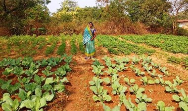 राष्ट्रीय ग्रामीण आजीविका मिशन ‘बिहान’ से बदली तकदीर, आत्मनिर्भरता की बनी मिसाल