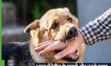 रेबीज़ पर सतर्कता ही सुरक्षा का सबसे बड़ा उपाय