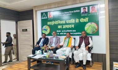 आधुनिक खेती की ओर कदम, हाइड्रोपोनिक्स पर वन विकास निगम का तीन दिवसीय प्रशिक्षण...