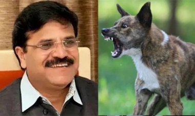 रायपुर में आवारा कुत्तों का मामले पर राजनीति तेज हो गई है