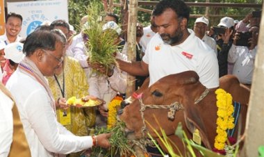 बस्तर संभाग में महिलाएं डेयरी व्यवसाय से बन रही हैं आत्मनिर्भर