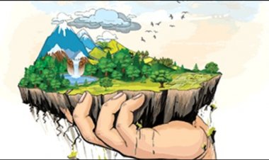 सूरजपुर और सरगुजा के 99 प्रतिशत खेत पोषक तत्व विहीन