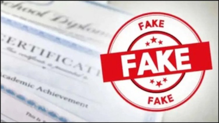 बिलासपुर में फर्जी मार्कशीट का खुलासा