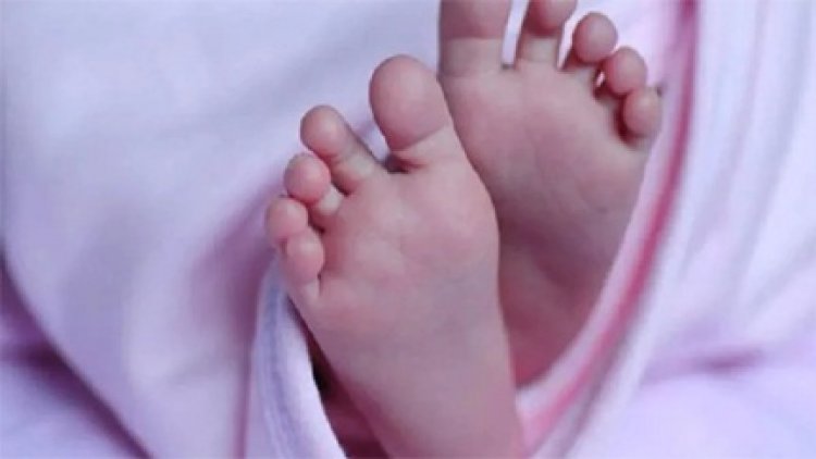 जंगल में रोता मिला नवजात शिशु