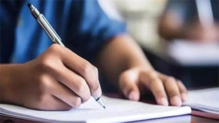 पटवारियों को अनुचित तरीके से प्रमोशन दिलाने का मामला