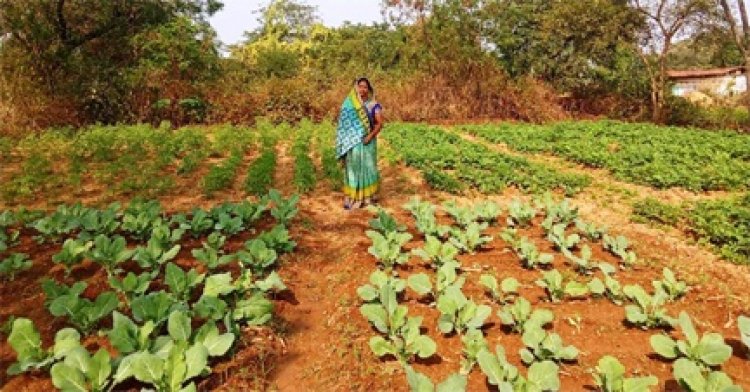 राष्ट्रीय ग्रामीण आजीविका मिशन ‘बिहान’ से बदली तकदीर, आत्मनिर्भरता की बनी मिसाल