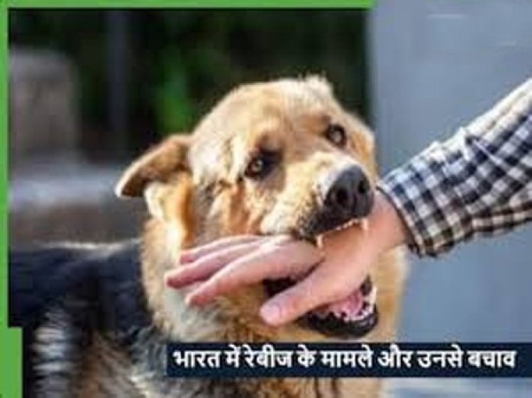 रेबीज़ पर सतर्कता ही सुरक्षा का सबसे बड़ा उपाय