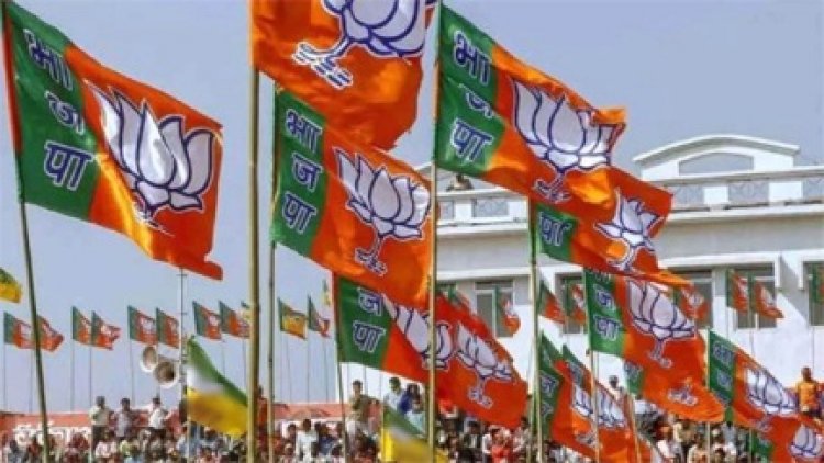 भाजयुमो जिला अध्यक्षों की घोषणा जल्द