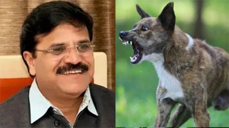 रायपुर में आवारा कुत्तों का मामले पर राजनीति तेज हो गई है