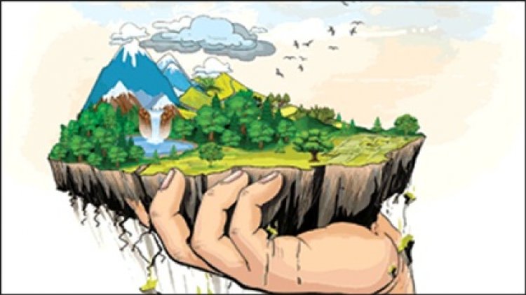 सूरजपुर और सरगुजा के 99 प्रतिशत खेत पोषक तत्व विहीन