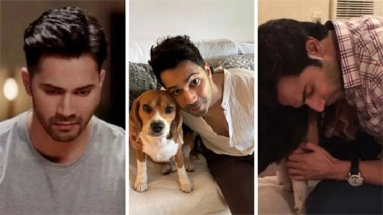 वरुण धवन ने करीबी के निधन पर इंटरनेट पर शेयर किया इमोशनल वीडियो