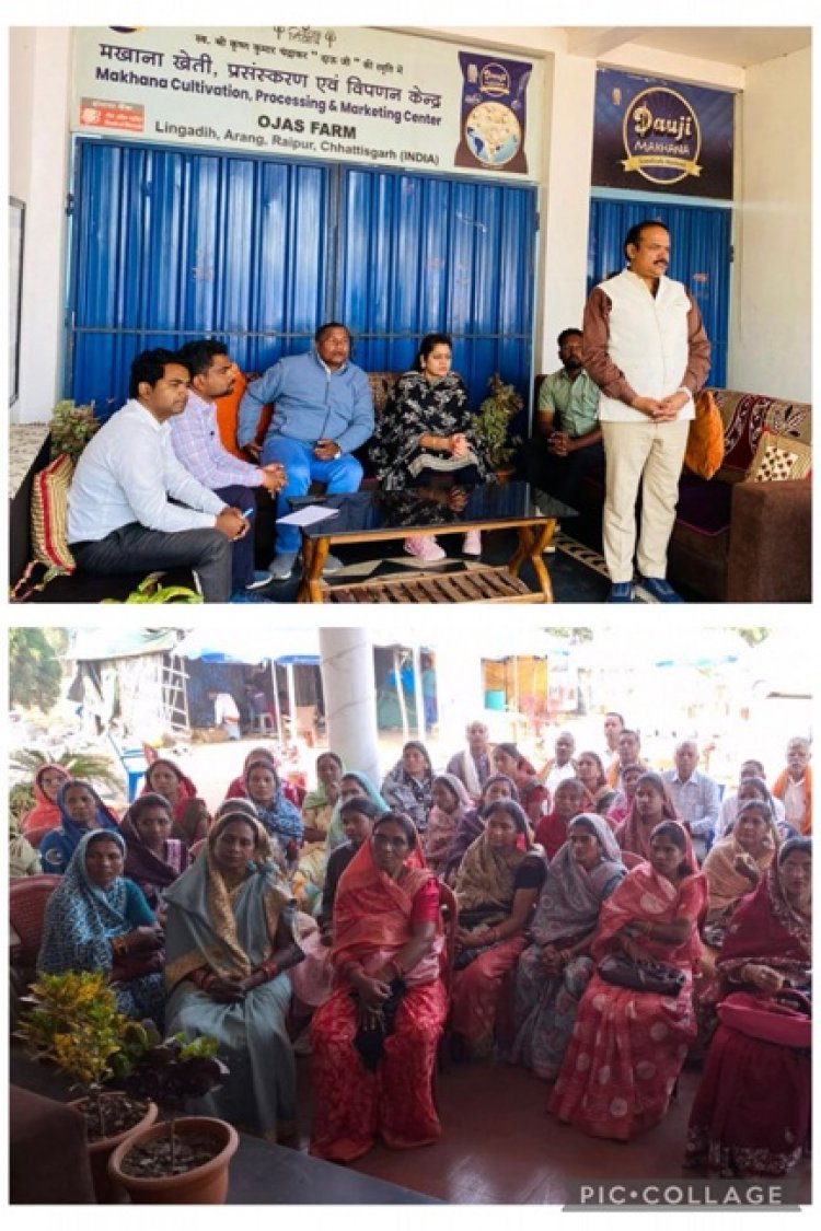 धान से आगे सोच : मखाना खेती से बदलेगी धमतरी की ग्रामीण महिलाओं की आर्थिक तस्वीर