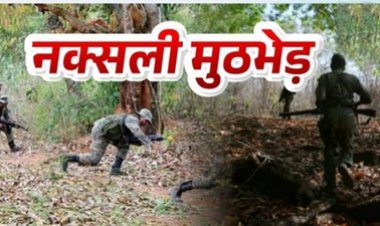 मुठभेड़ में 14 नक्सली ढेर