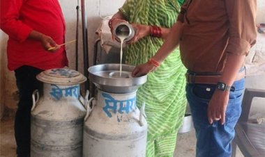 श्वेत क्रांति की नई पहचान धमतरी जिला