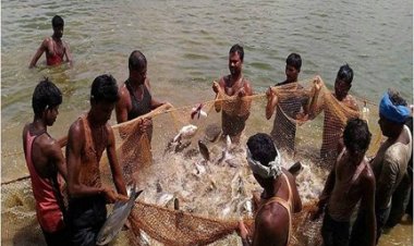 प्रधानमंत्री मत्स्य सम्पदा योजना से जिले में आई मत्स्य क्रांति