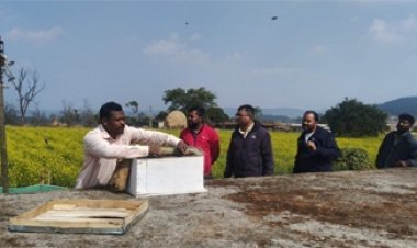 मीठी क्रांति से बदल रहा प्रदेश के किसानों का भाग्य