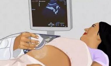 उच्च जोखिम वाली 1667 गर्भवती महिलाओं का किया गया नि:शुल्क सोनोग्राफी