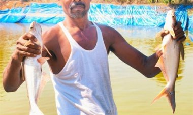 मछली पालन से बदली कृषक हड़मा कोड़ोपी की जिंदगी : प्रधानमंत्री धन धान्य योजना बनी नई उम्मीद