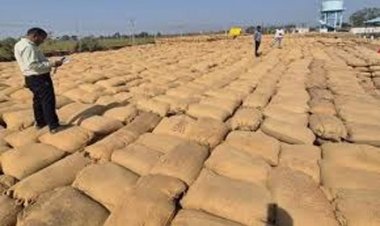 धान खरीदी में लापरवाही पर प्रशासन की सख्त कार्रवाई