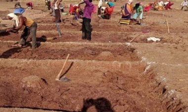 छत्तीसगढ़ के सिर्फ एक जिले में ही मनरेगा में 25 लाख रुपये का बंदरबांट